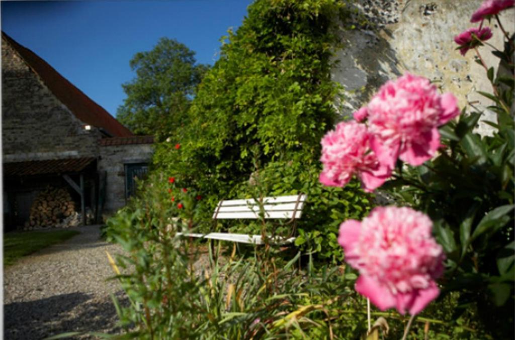 Chateau De Cocove Recques-sur-Hem Exteriör bild